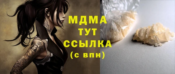 хмурый Алексин