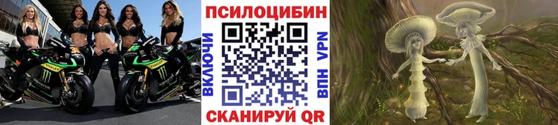 darknet официальный сайт  где купить   Бобров  Псилоцибиновые грибы ЛСД 